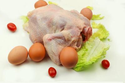Fay Chicken and Groceries Suppliers