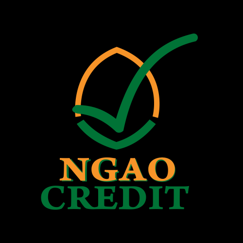 NGAO CREDIT LTD 