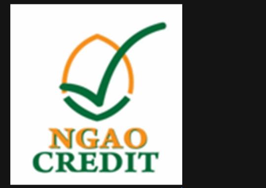 NGAO CREDIT LIMITED